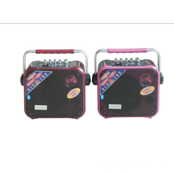 Portable Trolley Mini Speaker 6.5inch with FM Radio CE F83